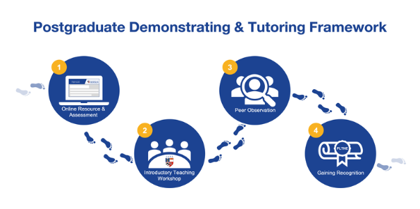 1. Online resources and assessment. 2. Introductory teaching workshop. 3. Peer observation. 4. Gaining recognition.