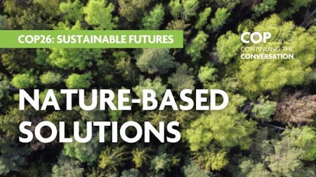 Nature-based nutritions